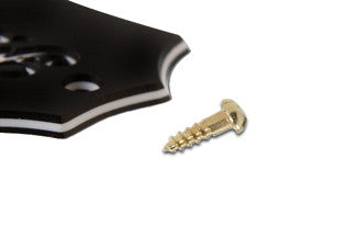 Truss Rod Cover Screws, Gold Plated